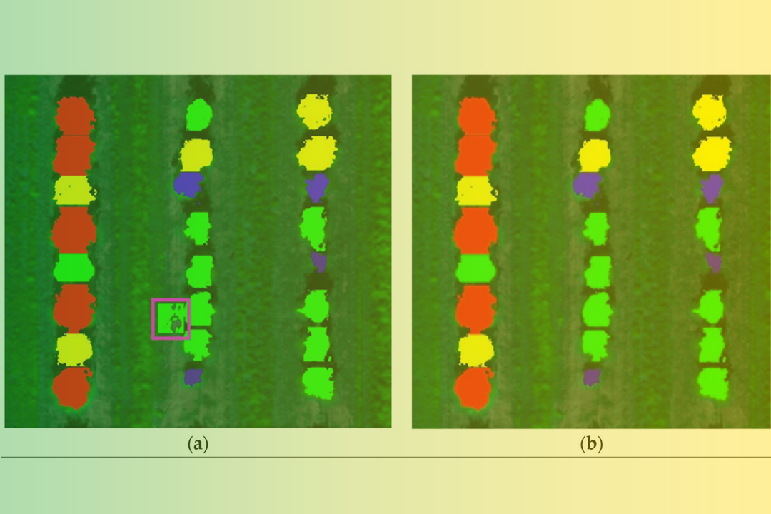 UAV-Based High Throughput Phenotyping In Citrus Utilizing Multispectral Imaging And Artificial Intelligence