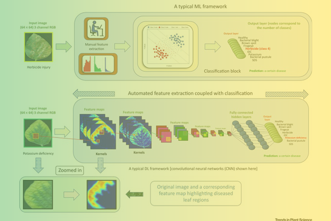 Deep Learning for Plant Stress Phenotyping: Trends and Future Perspectives 