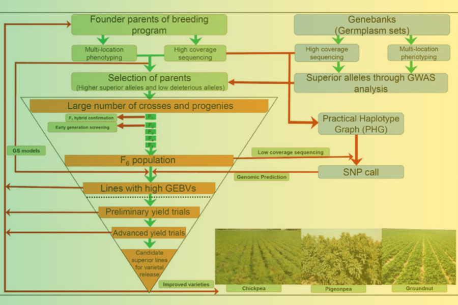 Toward the Sequence-Based Breeding In Legumes in the Post-Genome Sequencing Era
