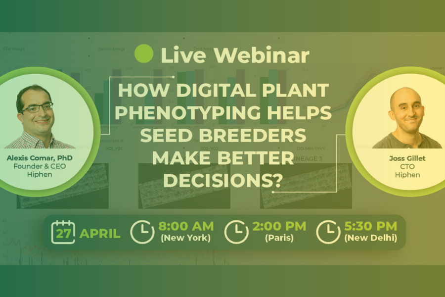How Digital Phenotyping Helps Seed Breeders Make Better Decisions For Their Trials – Hiphen