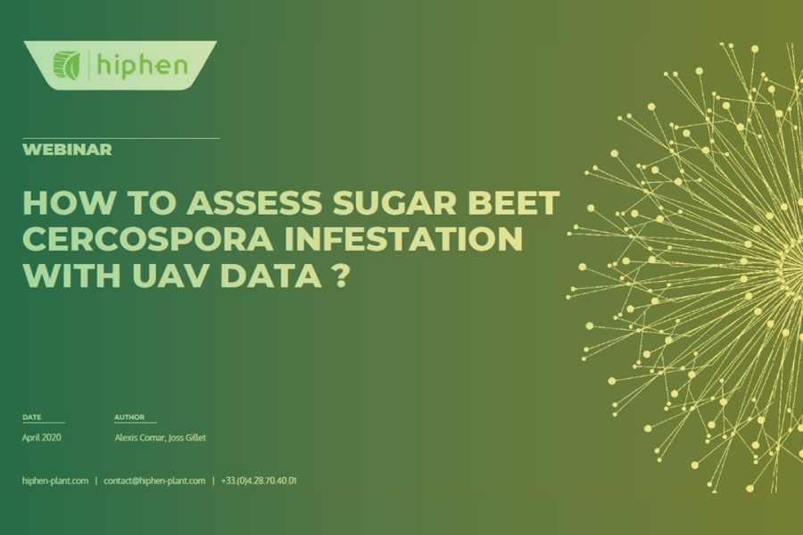 How To Assess Plant Disease Using UAV Data?