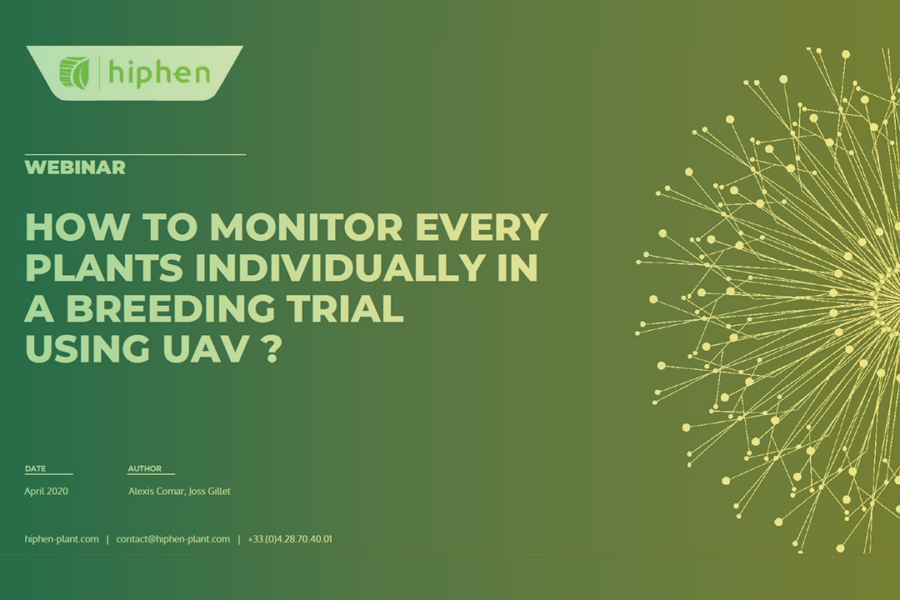 How To Monitor Every Plants Individually In Your Breeding Trial Using UAV?