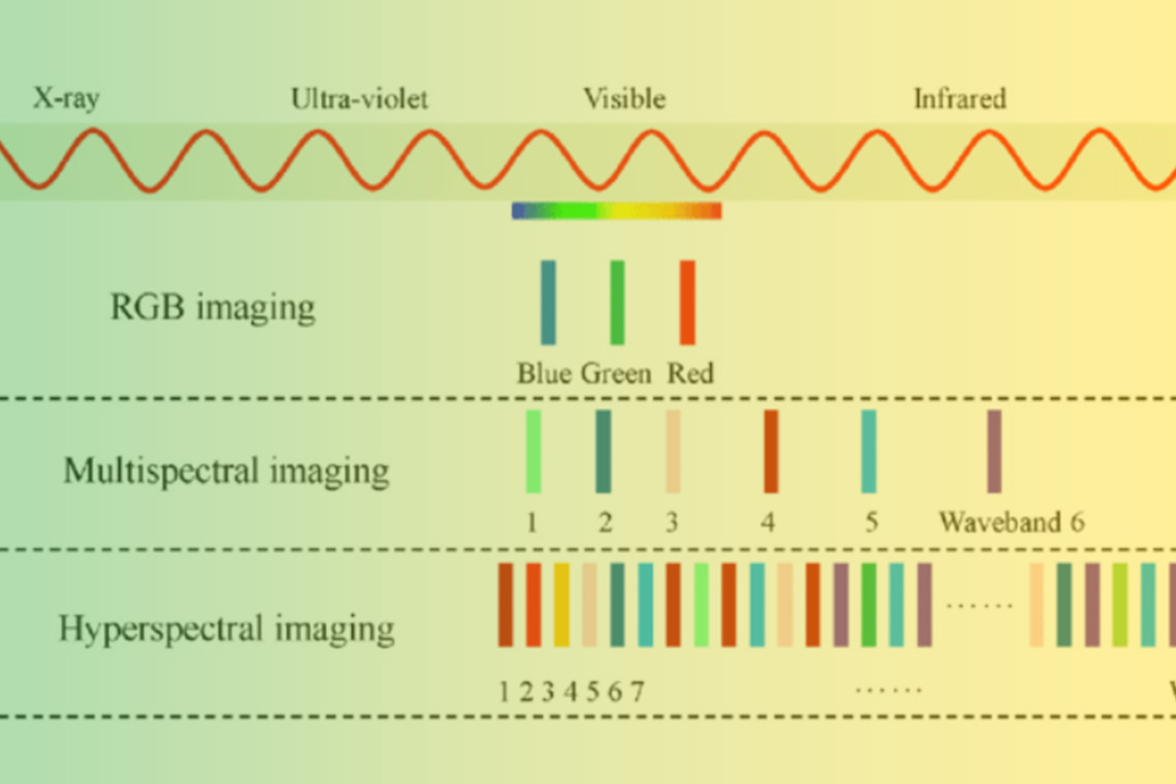 All You Need To Know About Multispectral & RGB Sensors