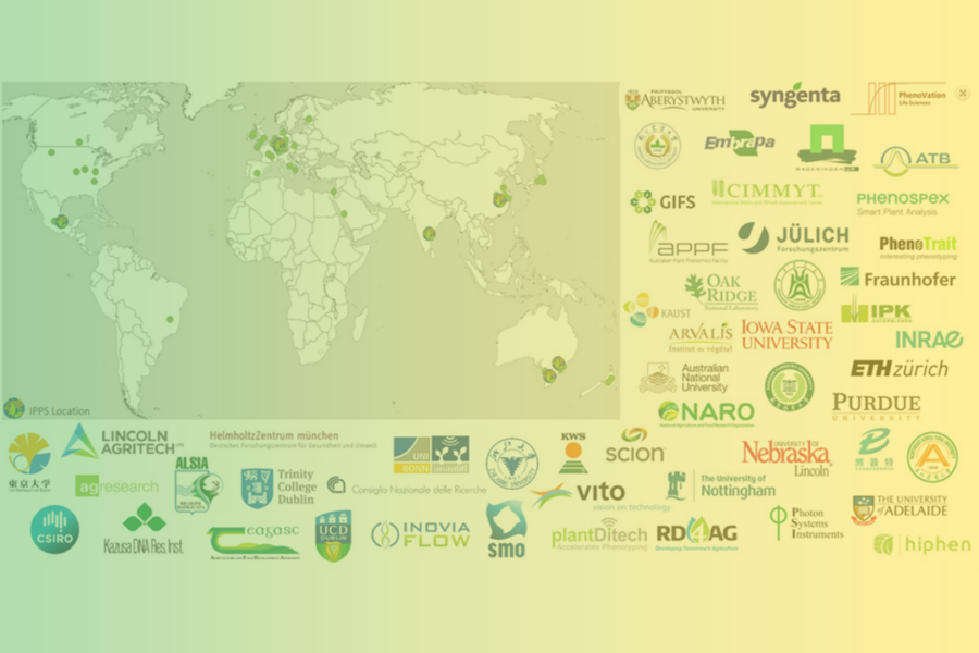 Accessibility Of Phenotyping In Low Income Countries