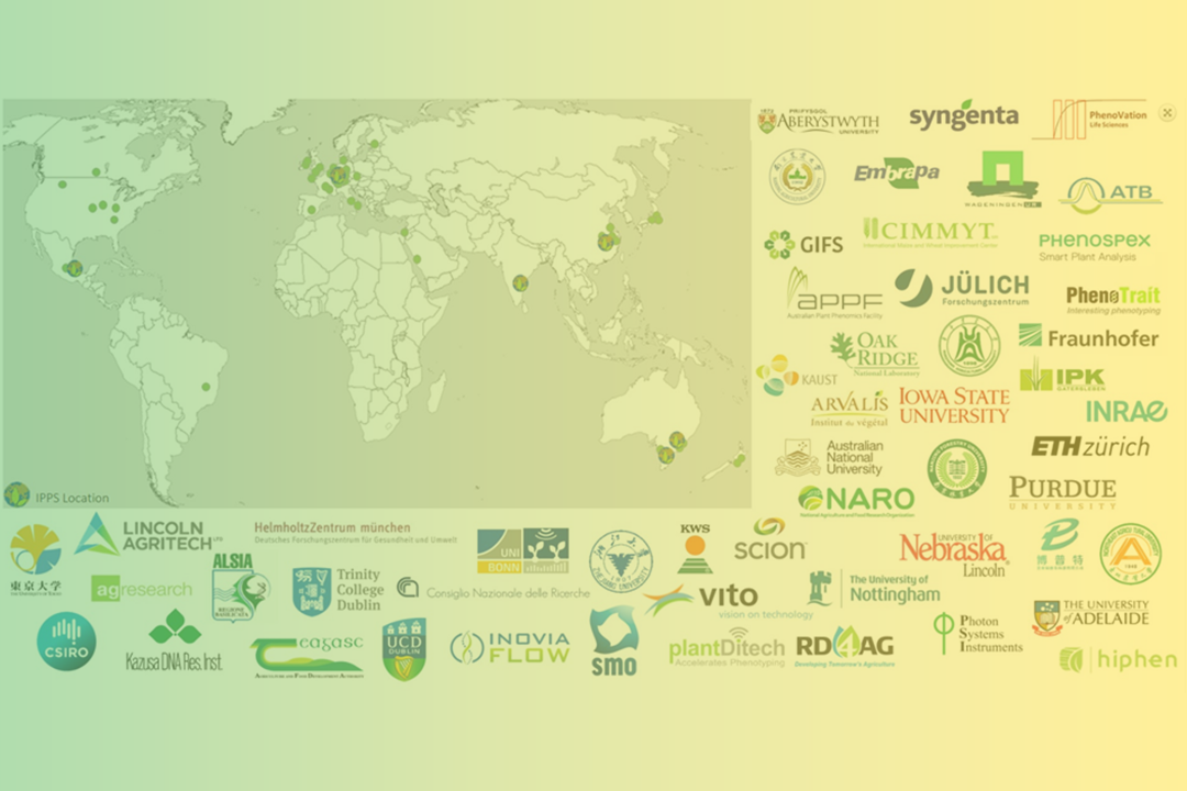 Accessibility Of Phenotyping In Low Income Countries