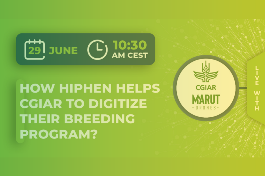 How Hiphen Helps CGIAR To Digitize Their Breeding Program?