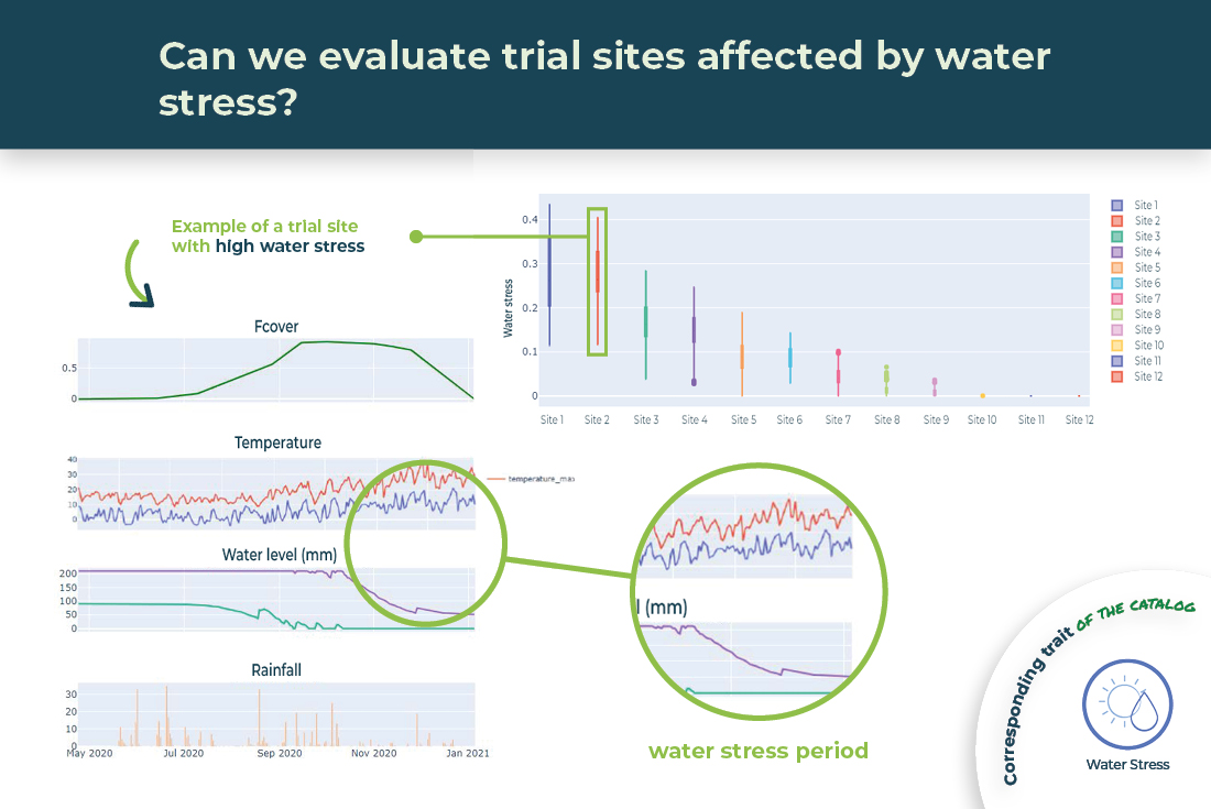 Can we evaluate trial sites affected by water stress ?