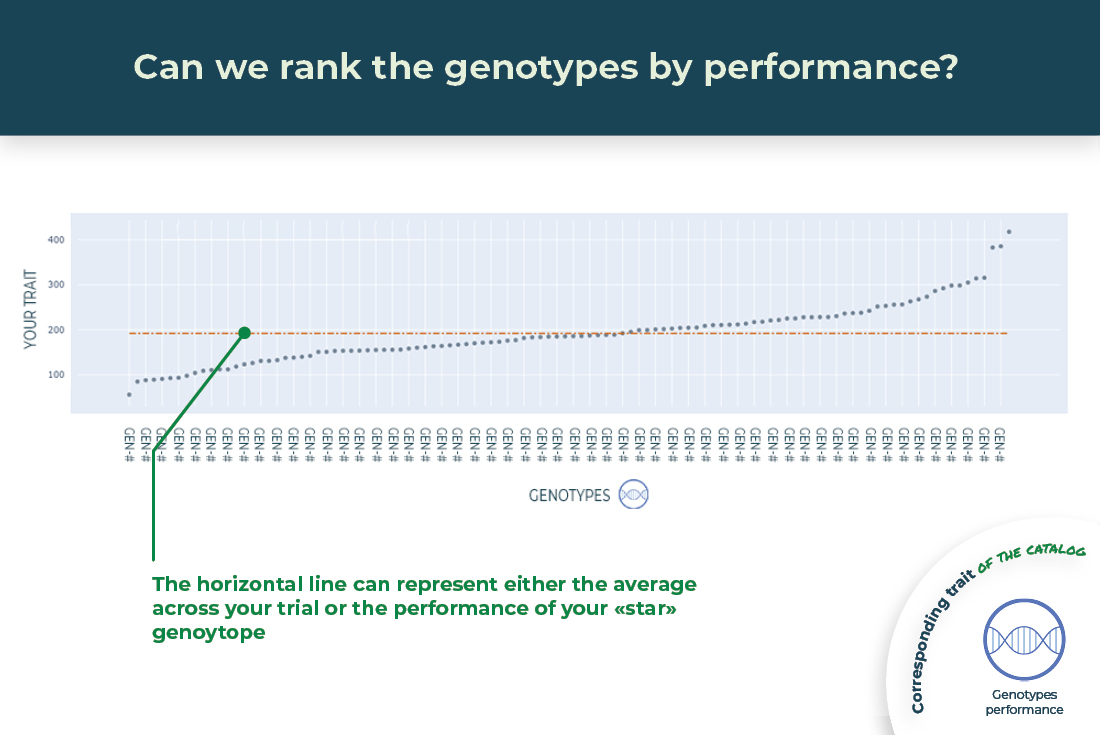 Can we rank the genotypes by performance?