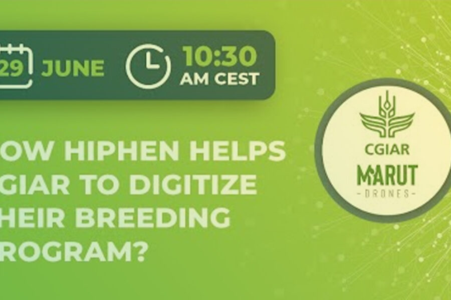 Discover how Hiphen helps CGIAR to digitize their breeding program