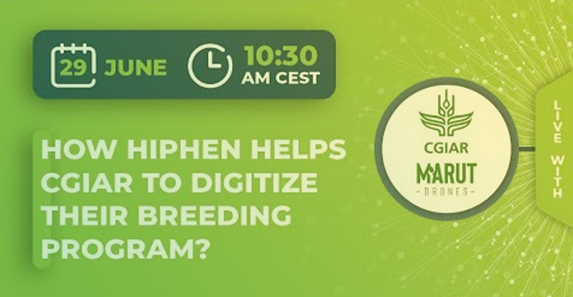 Discover how Hiphen helps CGIAR to digitize their breeding program