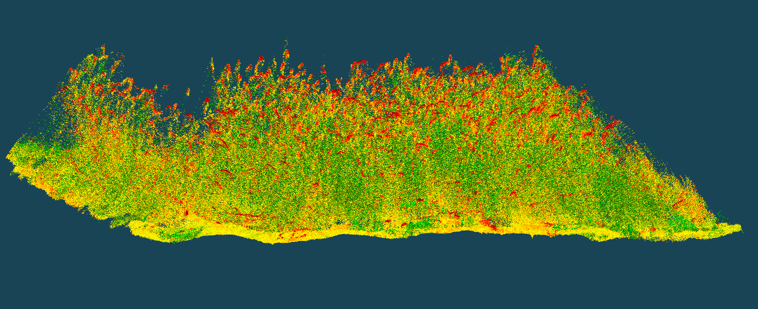 Can we assess plants using 3D sensors?