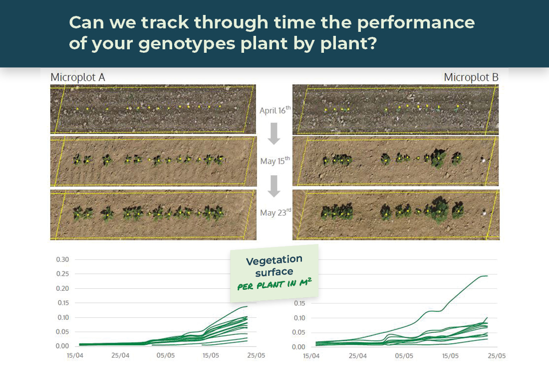 Can we track through time the performance of your genotypes plant by plant?