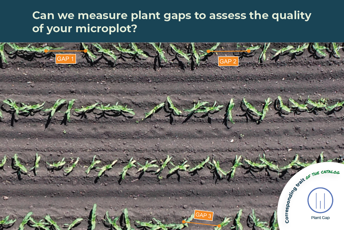 Can we measure plant gaps to assess the quality of your microplot?