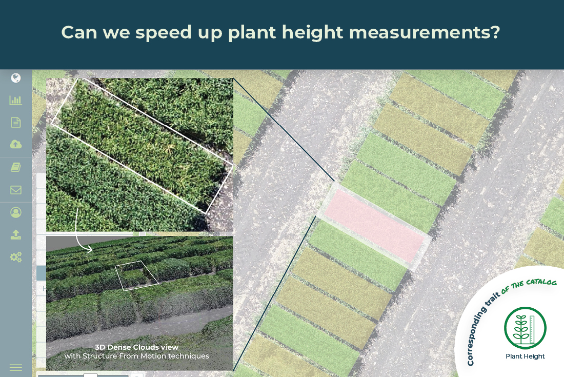 Can we speed up plant height measurements