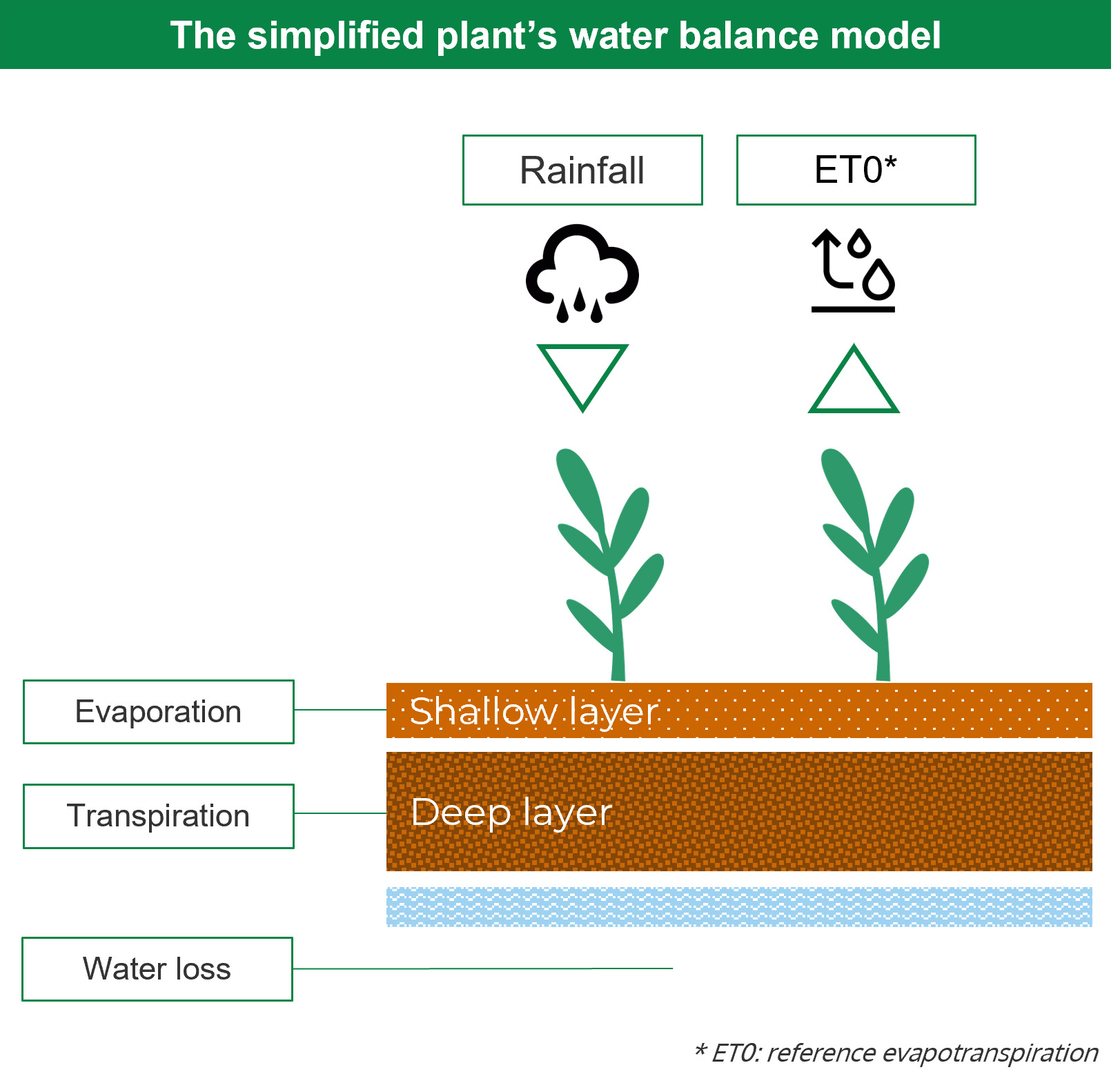 Can we measure water stress and water use efficiency to support drought tolerance research?