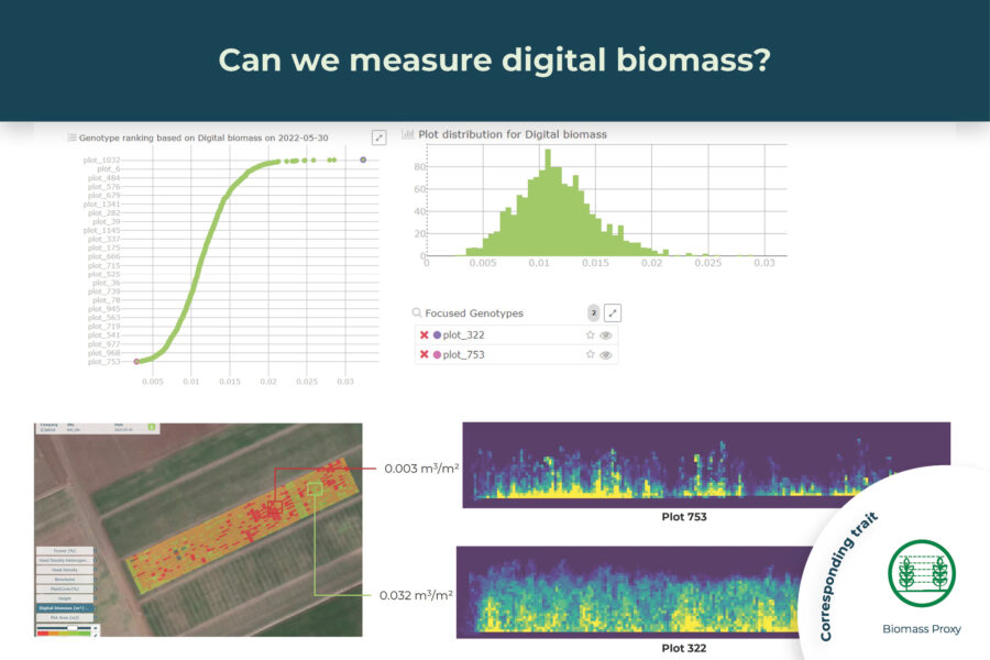 Can we measure digital biomass?