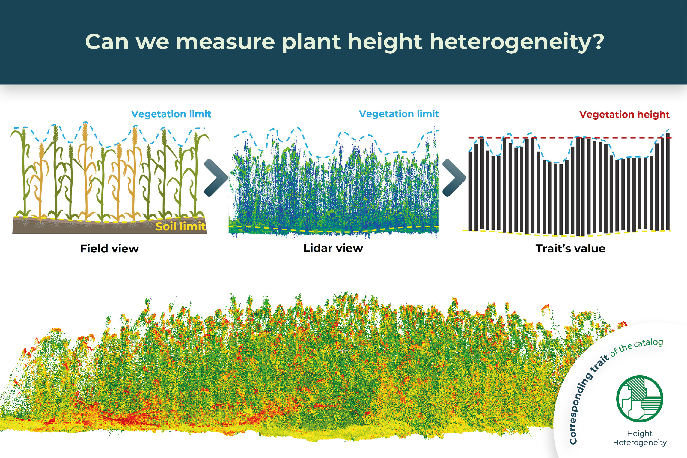 Can we measure plant height heterogeneity?