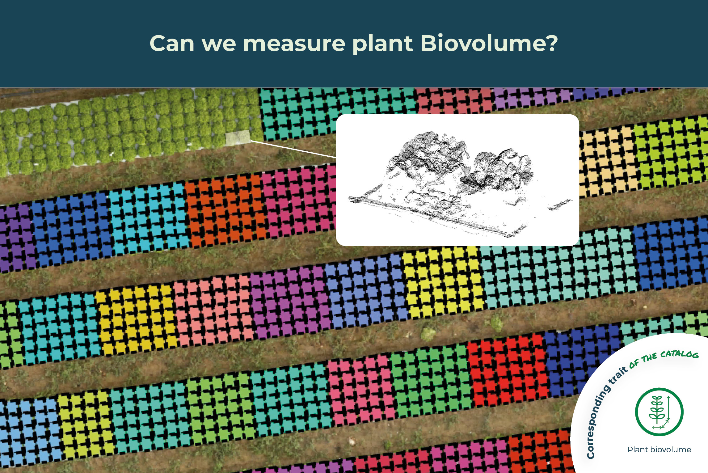 Can we measure plant Biovolume?